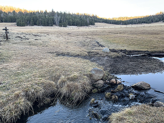 casa vieja meadow